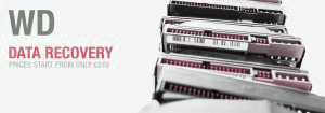 Western Digital Recovery